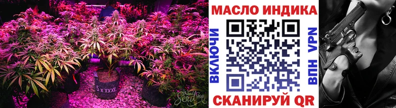 где купить   Мамадыш  ТГК концентрат 