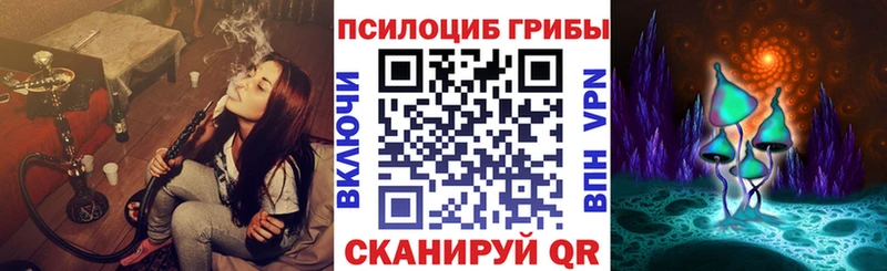 Галлюциногенные грибы MAGIC MUSHROOMS  hydra рабочий сайт  Мамадыш  купить  